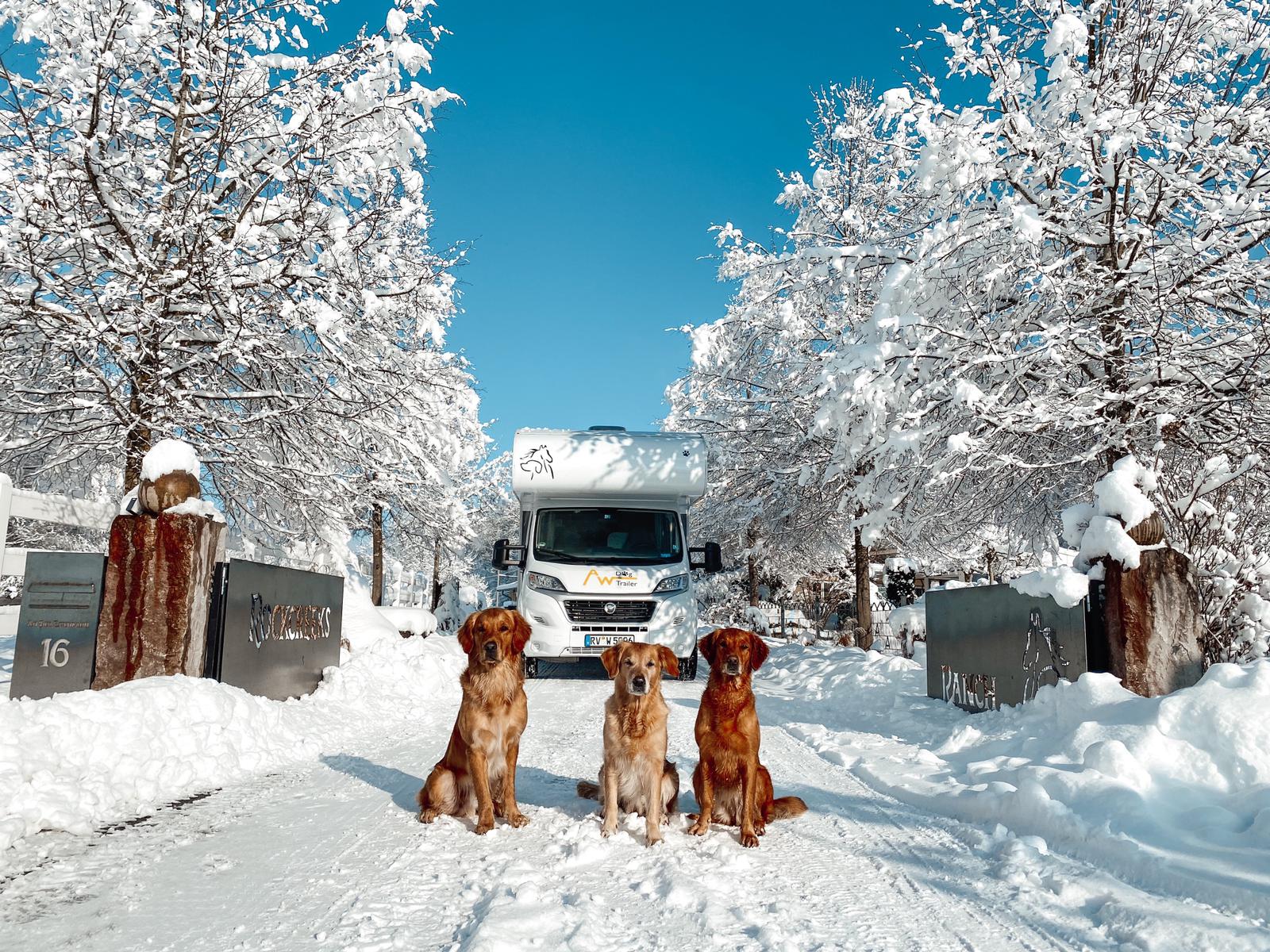 AW Hundewohnmobil, Winterbetrieb, Hundewohnmobil im Schnee AW Hundewohnmobil, Winterbetrieb, Hundewohnmobil im Schnee