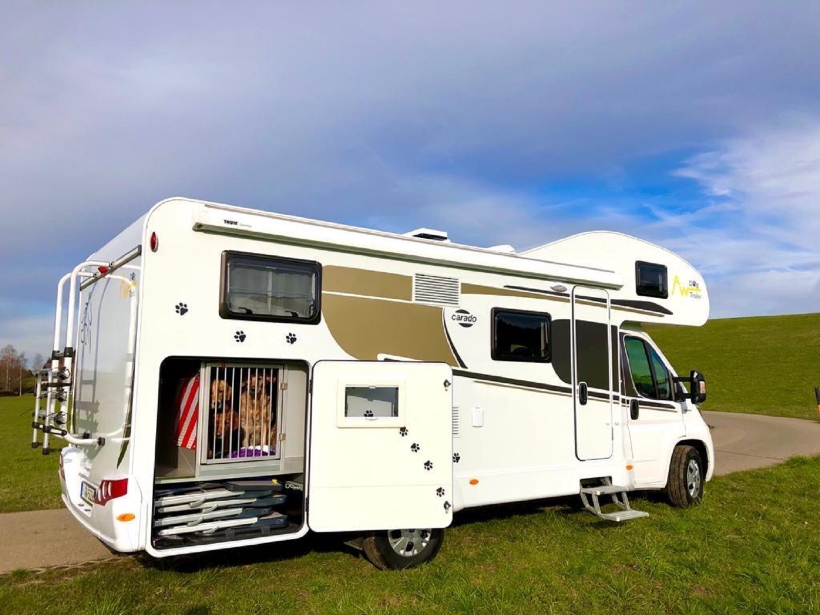 "Balou" Carado A 464, AW-Hundewohnmobil, Hundedomizil